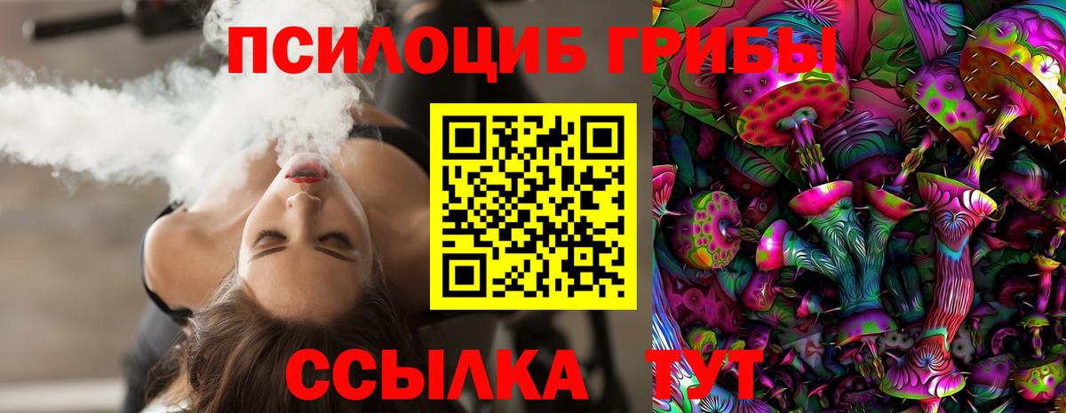 Псилоцибиновые грибы Psilocybe Сланцы