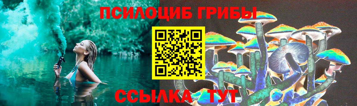 Псилоцибиновые грибы Psilocybe  Вход с VPN  Галлюциногенные грибы Psilocybe  Сланцы 