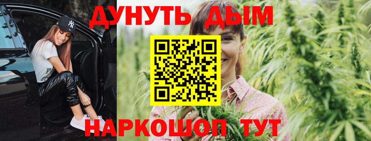 Бошки Шишки планчик Сланцы